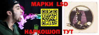 индика Партизанск