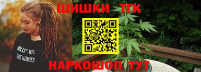индика Партизанск
