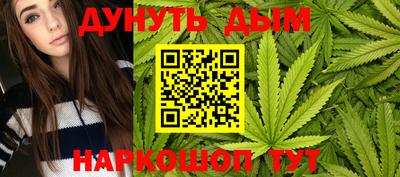 индика Партизанск