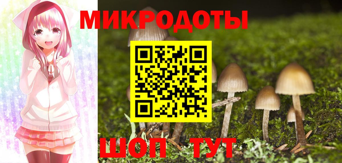 Псилоцибиновые грибы MAGIC MUSHROOMS  Вход с VPN  Псилоцибиновые грибы Psilocybine cubensis  купить наркоту  Серов 